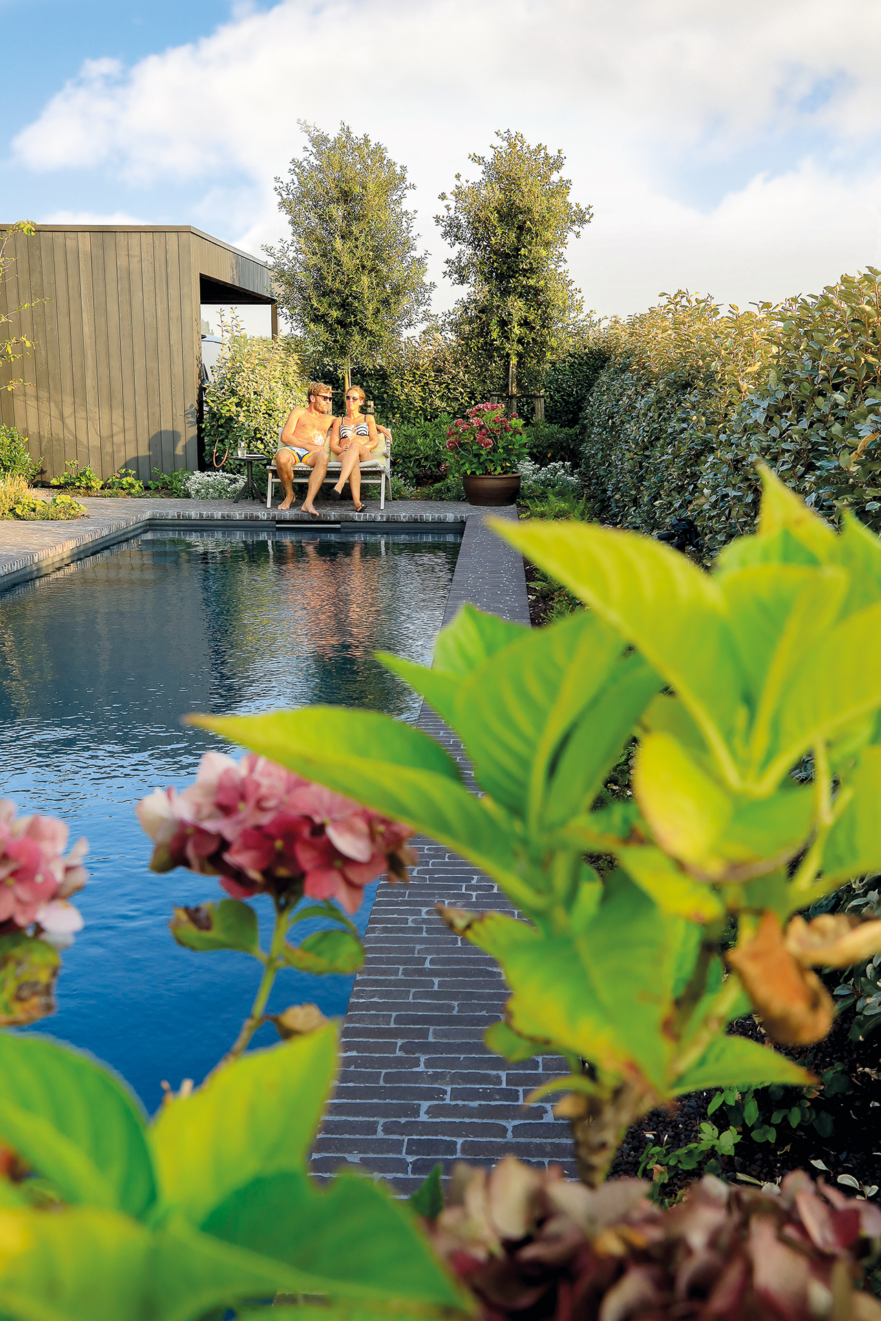 modern-house-with-garden-swimming-pool-and-wooden--PXH34K3-desktop